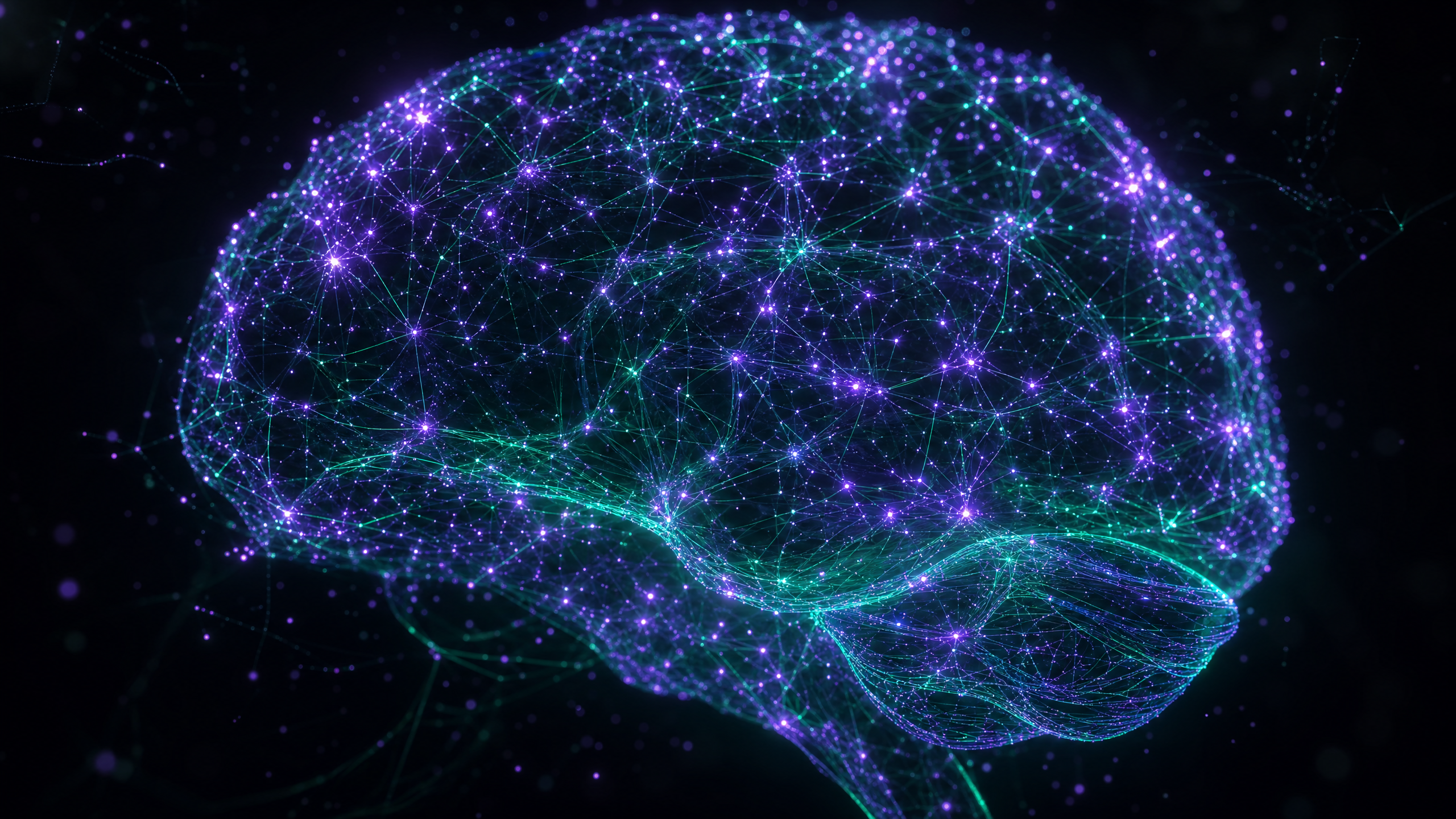 Neural Network